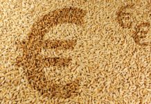 Getreidehandel: Von der Börse ins Börserl Weizen mit Börsenpreis