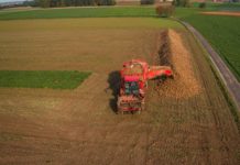 Rübenkampagne 2022: Erste Zahlen liegen vor Rübenroder