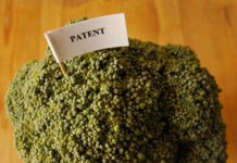 Nationaler Aufstand gegen Patentrechte auf Pflanzen