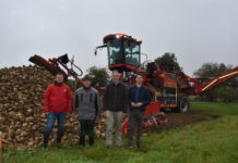 Start der Rübenernte: In OÖ werden Höchsterträge erwartet