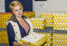 Schmuckenschlager fordert bessere Kennzeichnung von Lebensmitteln mit Eieranteil