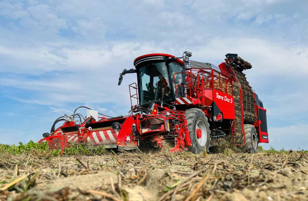 HOLMER Terra Dos 5 30