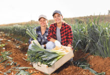 „Ja zu nah“ – vom Bauern direkt in die Großküche