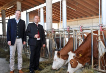 Start für Stiftungsprofessur „Wiederkäuermedizin im Alpenraum“