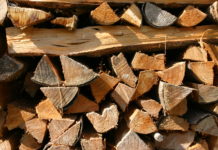 Preise für Energieholz gehen durch die Decke
