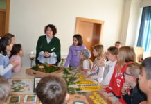 Tage der Landwirtschaft: Wissen sammeln durch aktives Erleben