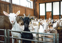 „Durchtauchen ist nur eine begrenzte Zeit lang möglich“