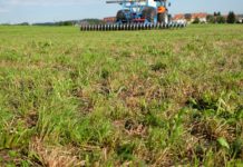 Schwerpunkt Grünland auf der agraria