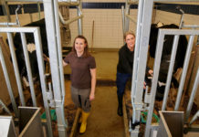 LeakyCow: Wenn die Hitze den Darm angreift