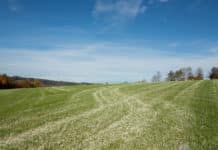 Grünland optimal auf den Winter vorbereiten