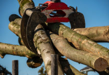 Holzmarkt November ’22: Eiche, Esche und Buche sind gefragt