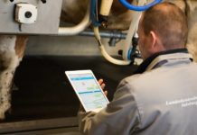 Milchleistung 2021/22: Im Durchschnitt 7.870 kg Milch pro Kuh