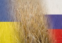 Getreideabkommen geht in Verlängerung