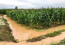 Starkregen, Sturzfluten: Die Gefahr Wasser steigt