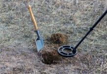 Ein Fünftel ukrainischer Agrarflächen unbenutzbar