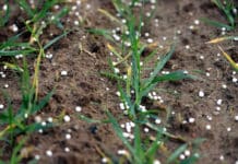 EU will Verfügbarkeit von Düngemitteln sichern