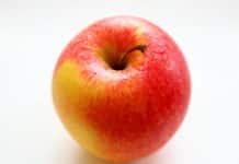 Moosbrugger: „EU-Pläne gehen in falsche Richtung“