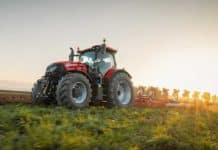 Der stärkste Puma aller Zeiten