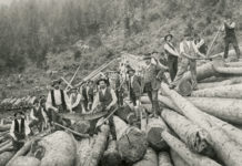 Eine Empfehlung für alle Waldarbeiter von heute