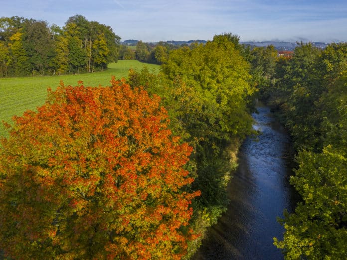 Krems Flussauen 3 ID92074