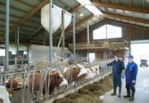 Tiergesundheitsdienst bekommt 2023 bundesweite Dachorganisation