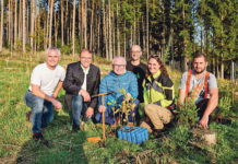 Zwei Jahre „waldsetzen.jetzt“ – die Erfolgsgeschichte geht weiter