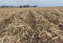 So könnte GLÖZ 6 praxistauglicher werden