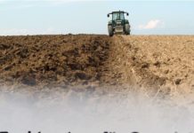 Wertsicherung auf dem Inflations-Prüfstand