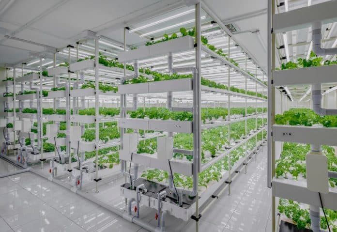 Vertical farm