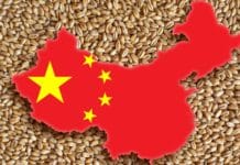 Allzeit-Ernte-Rekord im Land der Mitte Landkarte China