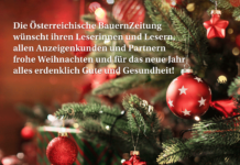 Frohe Weihnachten 2022