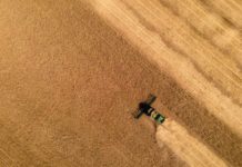 Australische Farmer rechnen mit Top-Erträgen MähdrescherAustralien