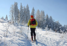 Natur: Viele Nutzer, aber ein gemeinsames Ziel