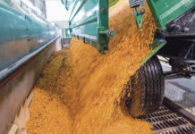 Bauern liefern Rohstoff für Stärke und Zucker