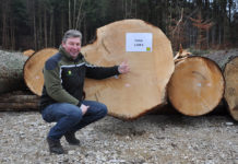 Nadelholz de luxe: Ein Fichtenstamm sorgte bei der Submission für Furore