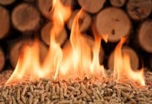 Zeit für Bioökonomie Erneuerbare Energie