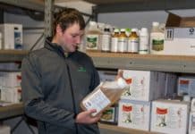 Rübenbau ringt um Notfallzulassungen