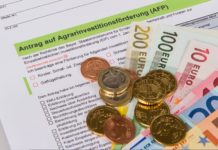 Millionenhilfe für die Regionen