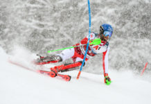 Die „fünfte Jahreszeit“ der Kitzbühler Bauern