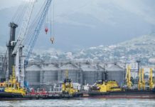 Terminmarkt International Jänner ’23 – Raps und Weizen im “Tiefflug” in das neue Jahr