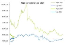Terminmarkt International Februar ’23 – Bei Raps, Weizen und Mais blickt alles nach Osten