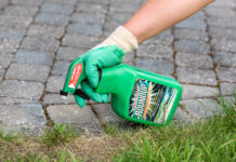 Anwendung von Glyphosat: Es gilt neue Auflagen zu beachten