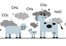 Wieder Plus bei Treibhausgasen nach der Pandemie