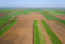 Preisunterschiede für Ackerland und für Grünland sind EU-weit enorm Agrarlandschaft
