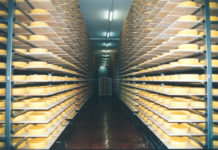 Milchexporte 2022: Käse aus Österreich erobert Europa