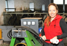 Für Direktvermarkter: Neue Förderschiene für Qualitätssicherung und Digitalisierung