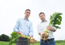 EuGH-Urteil zu Neonicotinoiden nicht auf Österreich anwendbar