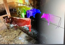 Agrarmesse Alpen-Adria: Beste Innovationen ausgezeichnet