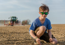 Mit der Zuckerrübe geht es nach Durststrecke wieder aufwärts