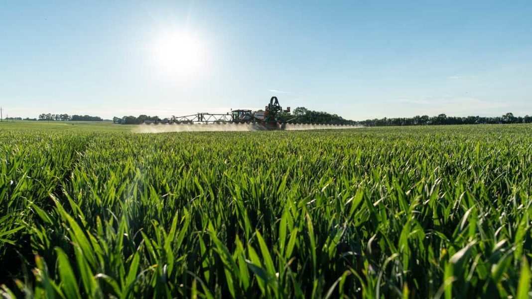 WW Fungizid Abendstunden